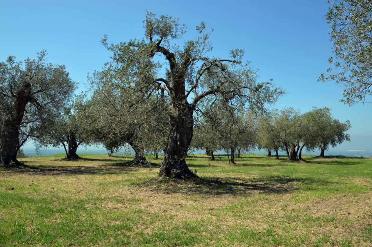 Antica Villa Di Bruto Tivoli Dış mekan fotoğraf